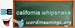 WordMeaning blackboard for california whipsnake